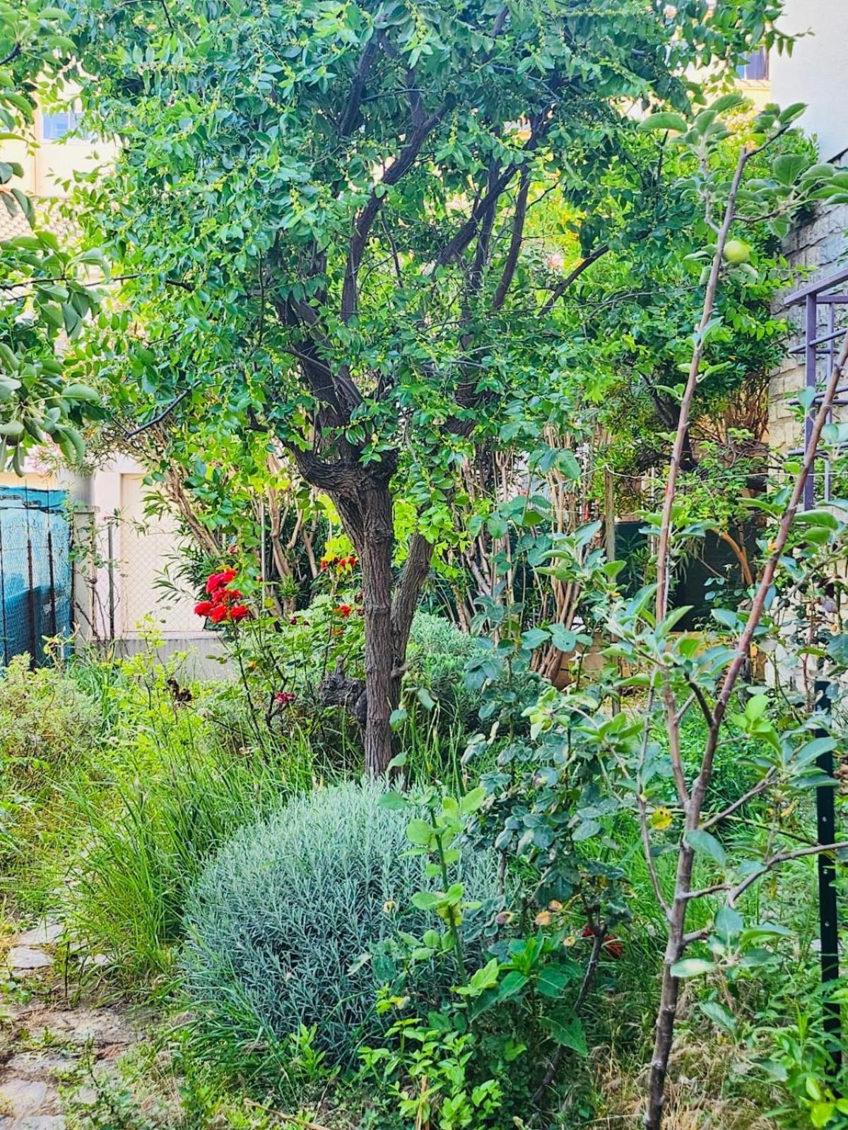 Appartement Paisible Pour 4 Personnes Montpellier Dış mekan fotoğraf